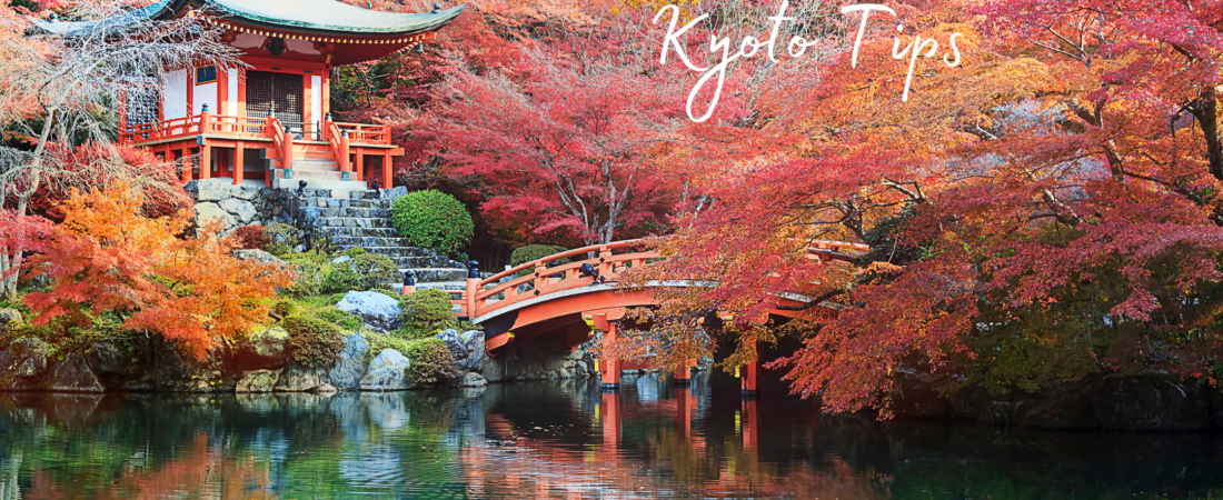 10 Tips for Traveling Through Kyoto