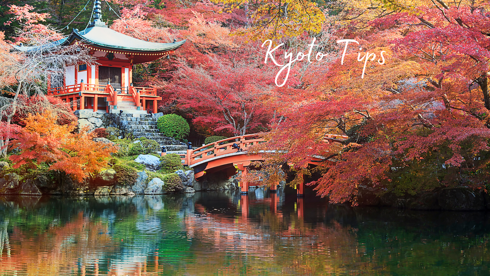 10 Tips for Traveling Through Kyoto