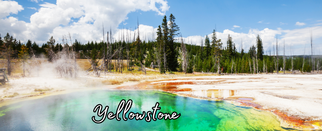 Yellowstone National Park