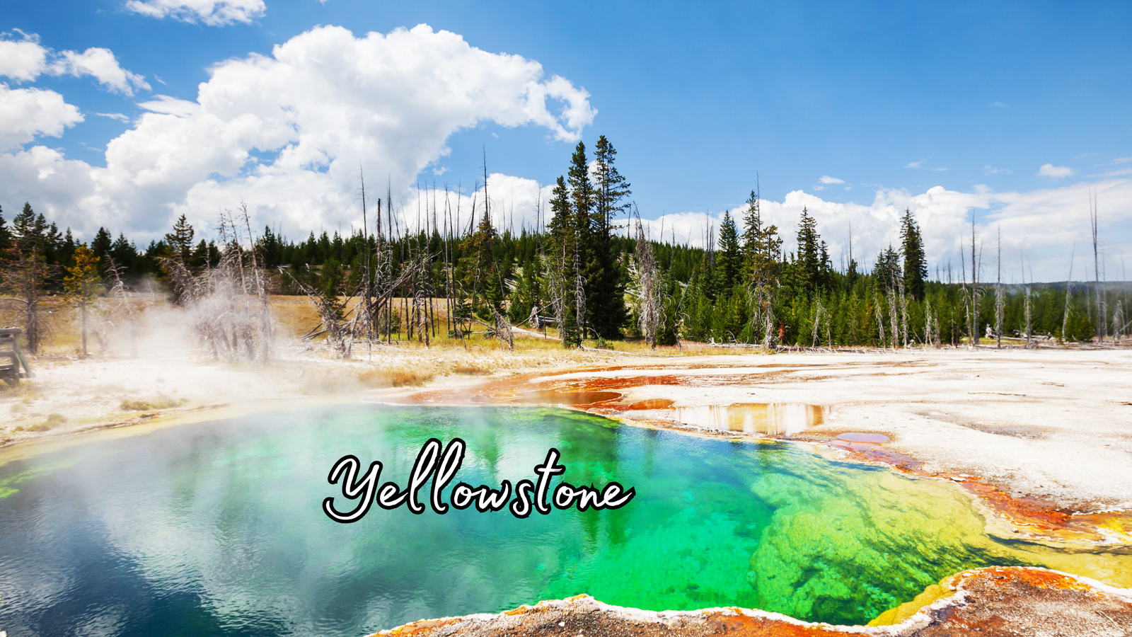 Yellowstone National Park
